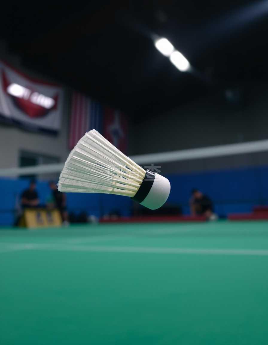 以他为核心 以他为核心