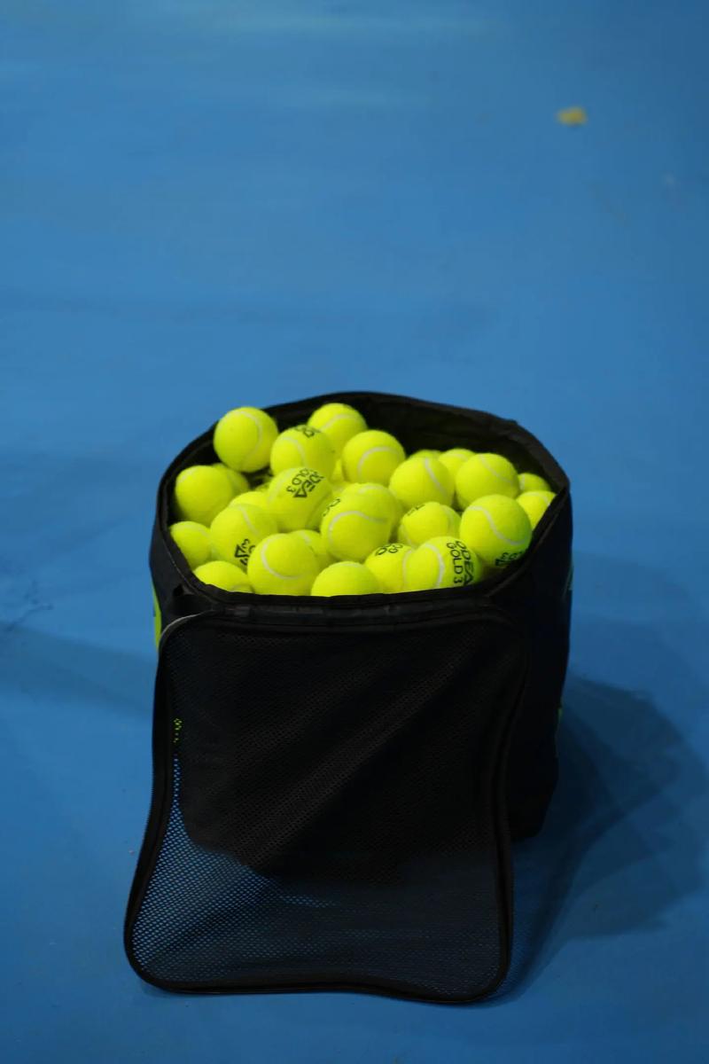 的健康发展 的健康发展